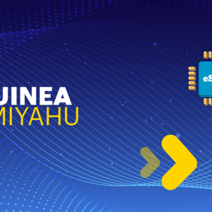 Guinea 3 GB - 30 days