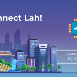 Singapore 20 GB - 30 days